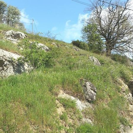 Studio Les Cadichons De La Grange Saint-Péray المظهر الخارجي الصورة