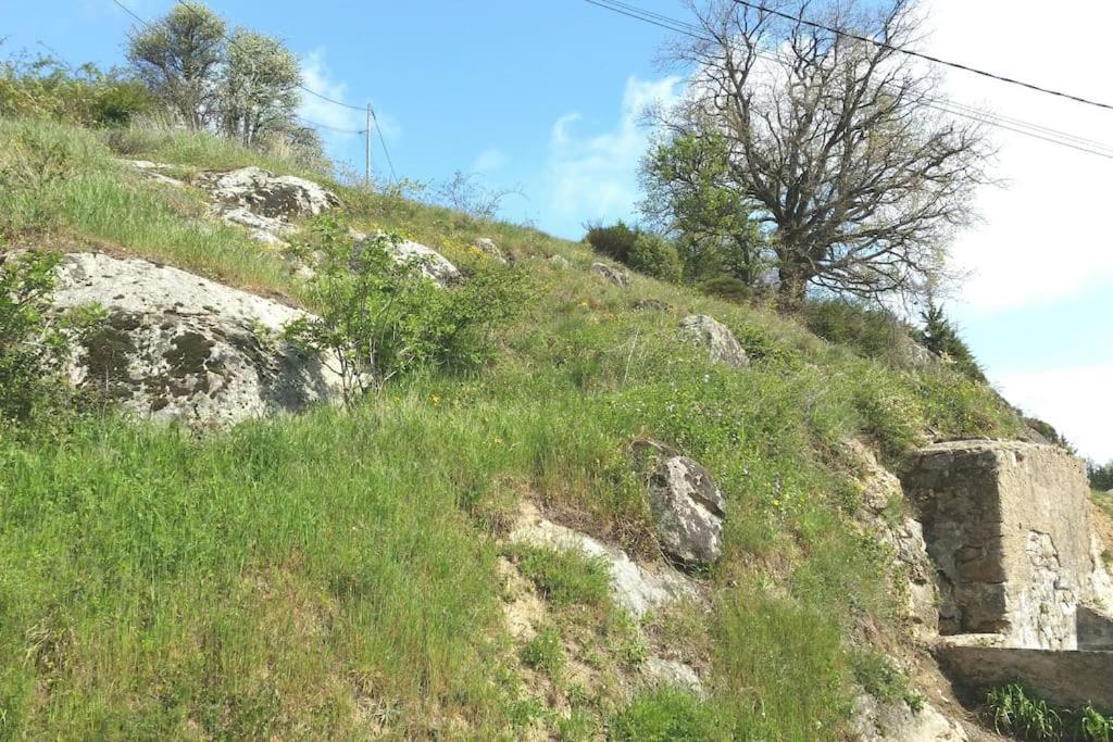 Studio Les Cadichons De La Grange Saint-Péray المظهر الخارجي الصورة